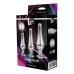 Gleaming Butt Plug Set Silver