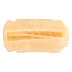 Rends Vorze A10 Cyclone Spiral Insert