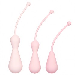 Inspire Weighted Silicone Kegel Training Kit