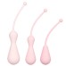 Inspire Weighted Silicone Kegel Training Kit