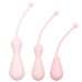 Inspire Weighted Silicone Kegel Training Kit