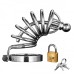 Master Series Asylum 6 Ring Locking Chastity Cage Master Series Asylum 6 Ring Locking Chastity Cage