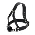 Leather Ball Gag And Head Harness